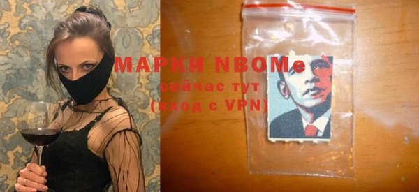 хмурый Алексин