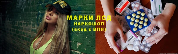 хмурый Алексин