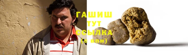 хмурый Алексин