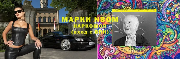 хмурый Алексин