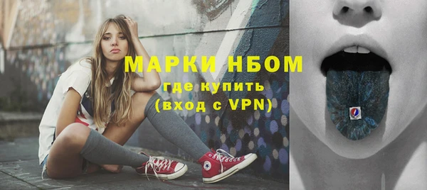 хмурый Алексин