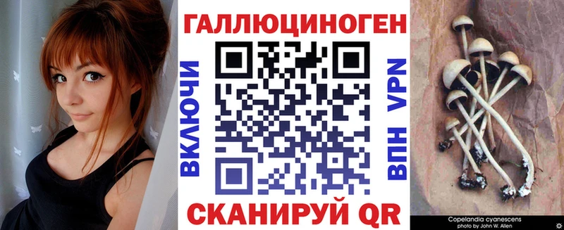 Галлюциногенные грибы Psilocybe  Чапаевск 