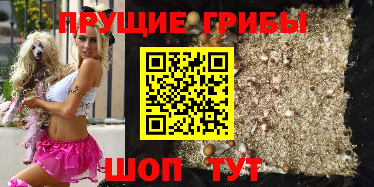 Псилоцибиновые грибы MAGIC MUSHROOMS  Вход с VPN  Галлюциногенные грибы GOLDEN TEACHER  Чапаевск 