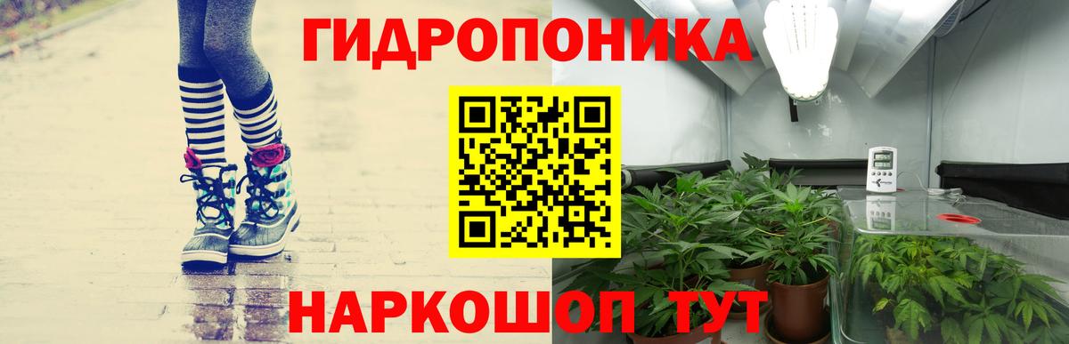 Шишки марихуана OG Kush Чапаевск